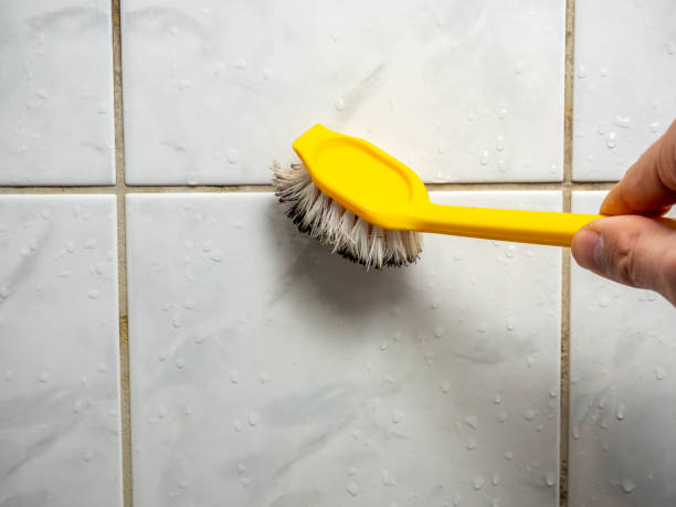 Best Toxic Mold Removal  in Conover, NC