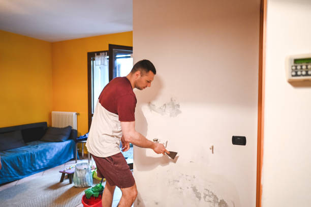 Best Same-Day Mold Removal  in Conover, NC