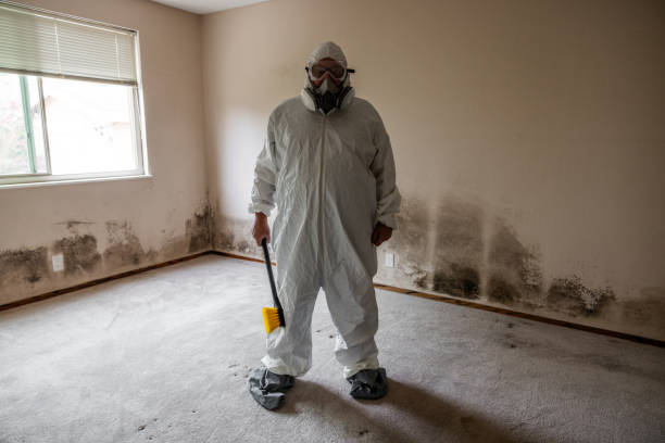 Home Mold Removal in Conover, NC